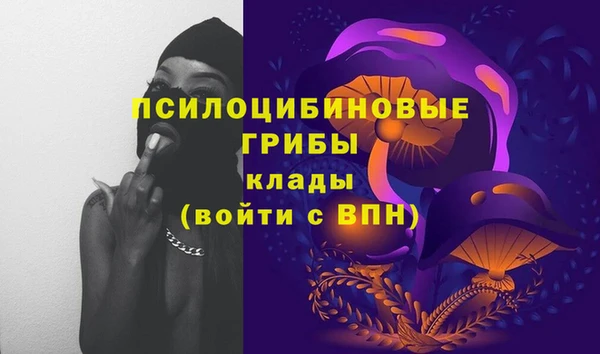 2c-b Алексин