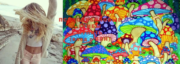 гашишное масло Алзамай