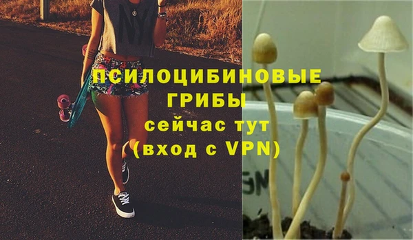 2c-b Алексин