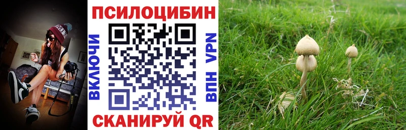 Галлюциногенные грибы Psilocybe Чёрмоз