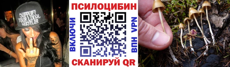 Псилоцибиновые грибы MAGIC MUSHROOMS цены наркотик Чёрмоз