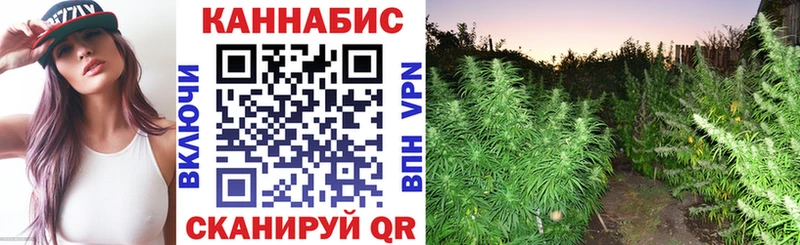 Шишки марихуана семена Чёрмоз
